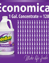Odoban Odor Eliminator and Disinfectant Concentrate, 4 Pk., Choose Scent