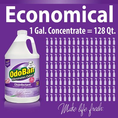Odoban Odor Eliminator and Disinfectant Concentrate, 4 Pk., Choose Scent