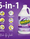 Odoban Odor Eliminator and Disinfectant Concentrate, 4 Pk., Choose Scent