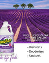 Odoban Odor Eliminator and Disinfectant Concentrate, 4 Pk., Choose Scent