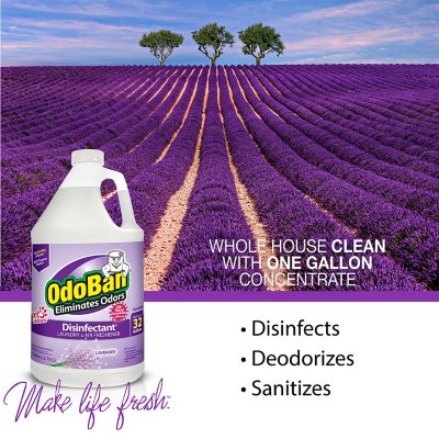 Odoban Odor Eliminator and Disinfectant Concentrate, 4 Pk., Choose Scent