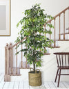 Faux 72" Ficus Tree in Roped-Style Handwoven Basket