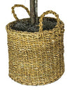 Faux 72" Ficus Tree in Roped-Style Handwoven Basket