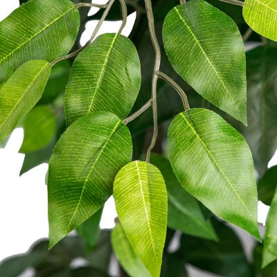 Faux 72" Ficus Tree in Roped-Style Handwoven Basket