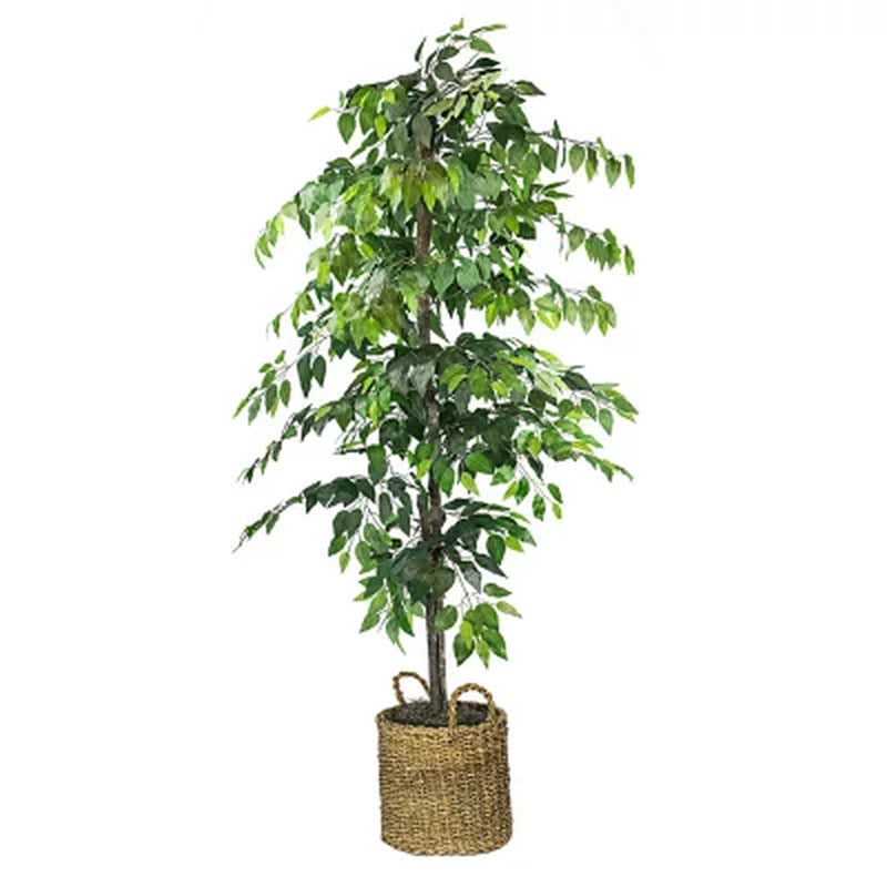 Faux 72" Ficus Tree in Roped-Style Handwoven Basket