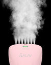 SALAV 1000-Watt Quicksteam Hand Held Steamer, HS-04/T, Choose Color