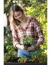 Keter XL Urban Bloomer Resin Elevated Planter Raised Garden Bed