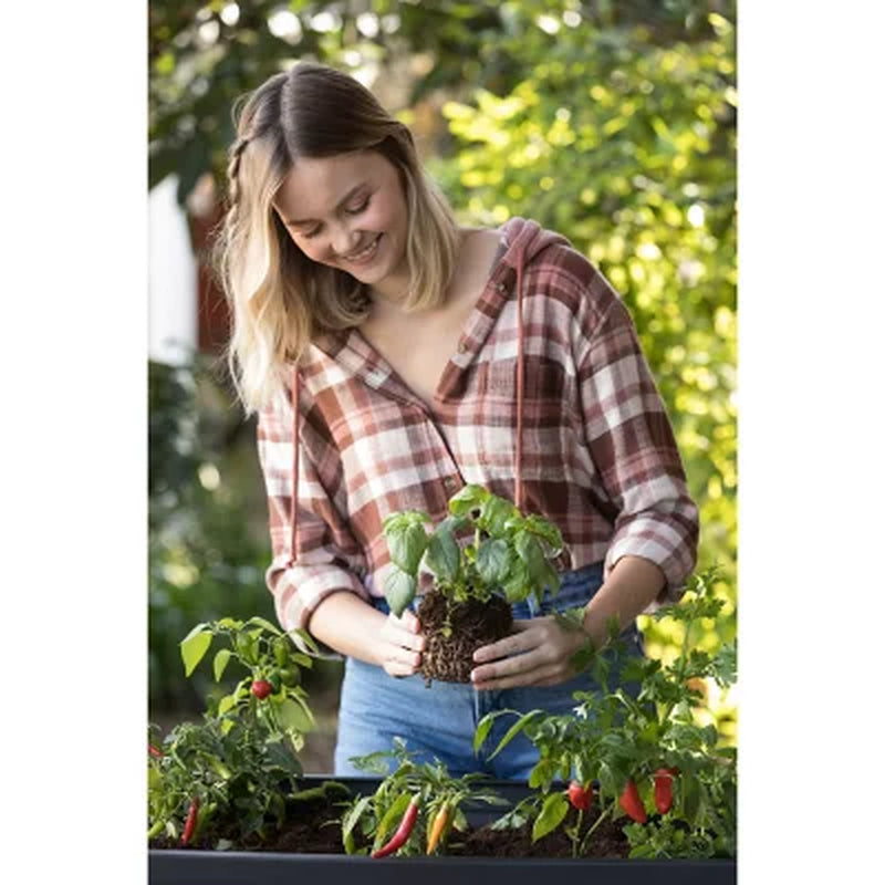 Keter XL Urban Bloomer Resin Elevated Planter Raised Garden Bed
