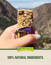 Nature Valley Chewy Trail Mix Fruit & Nut Granola Bars, 48 Ct.