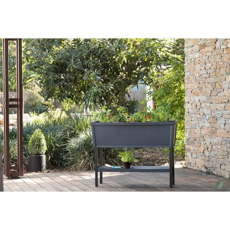 Keter XL Urban Bloomer Resin Elevated Planter Raised Garden Bed
