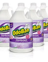 Odoban Odor Eliminator and Disinfectant Concentrate, 4 Pk., Choose Scent