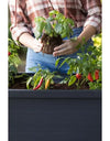 Keter XL Urban Bloomer Resin Elevated Planter Raised Garden Bed