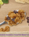 Raisin Bran Cereal, 76.5 Oz.