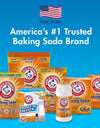 Arm & Hammer Pure Baking Soda, 13.5 Lbs.